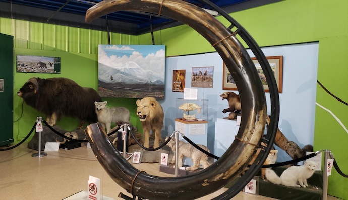 Our Top 9 Fun Things To Do With The Kids In Anchorage